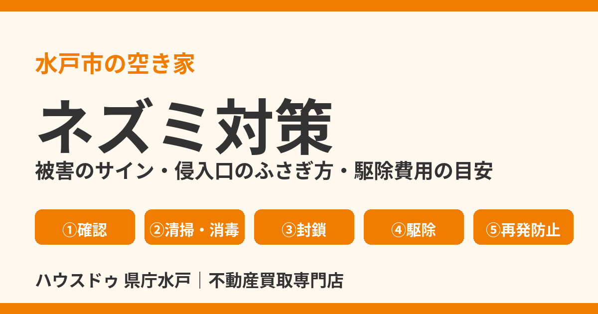 空き家のネズミ対策｜被害のサイン・侵入口のふさぎ方・駆除費用の目安｜水戸市の空き家はハウスドゥ 県庁水戸